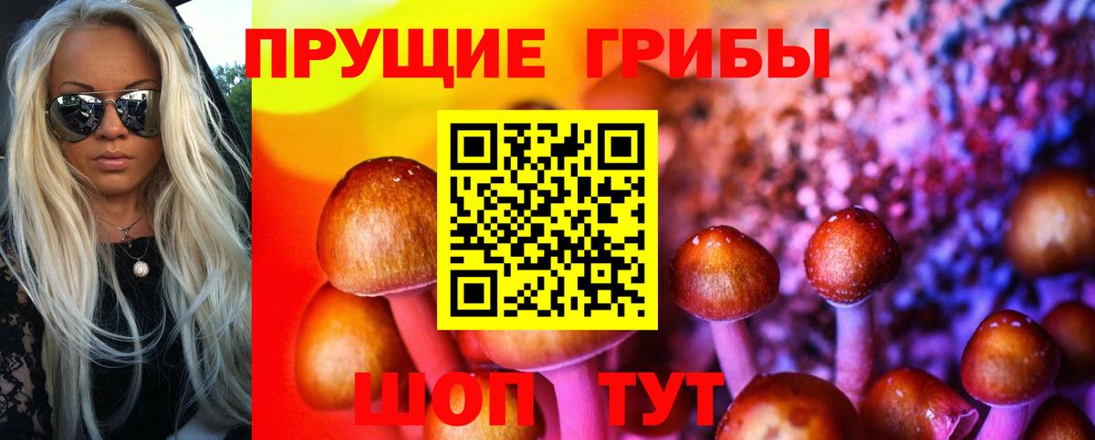 закладка  Галлюциногенные грибы мухоморы  Канск  Вход с VPN  Псилоцибиновые грибы GOLDEN TEACHER 